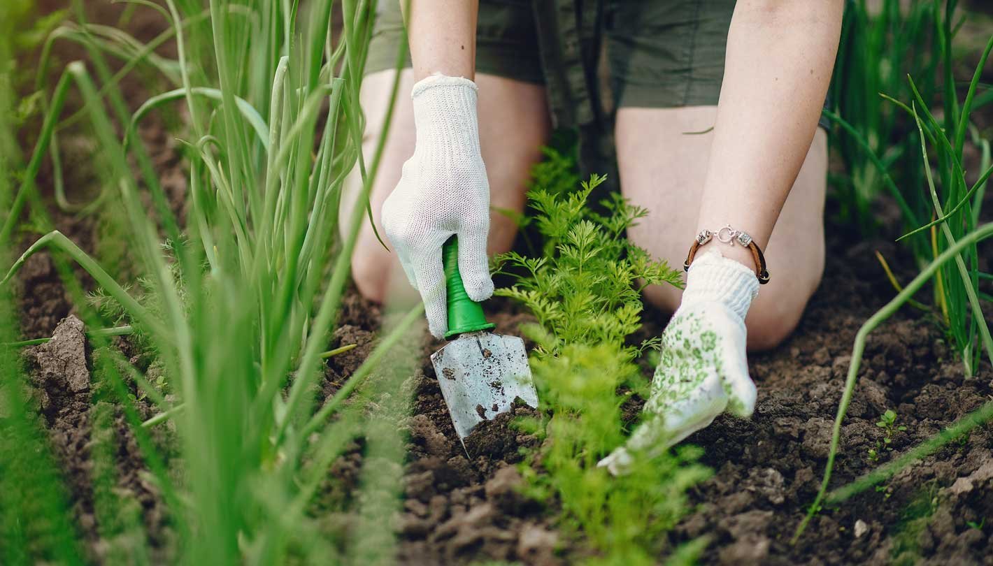 Aqua Garden Care - garden1