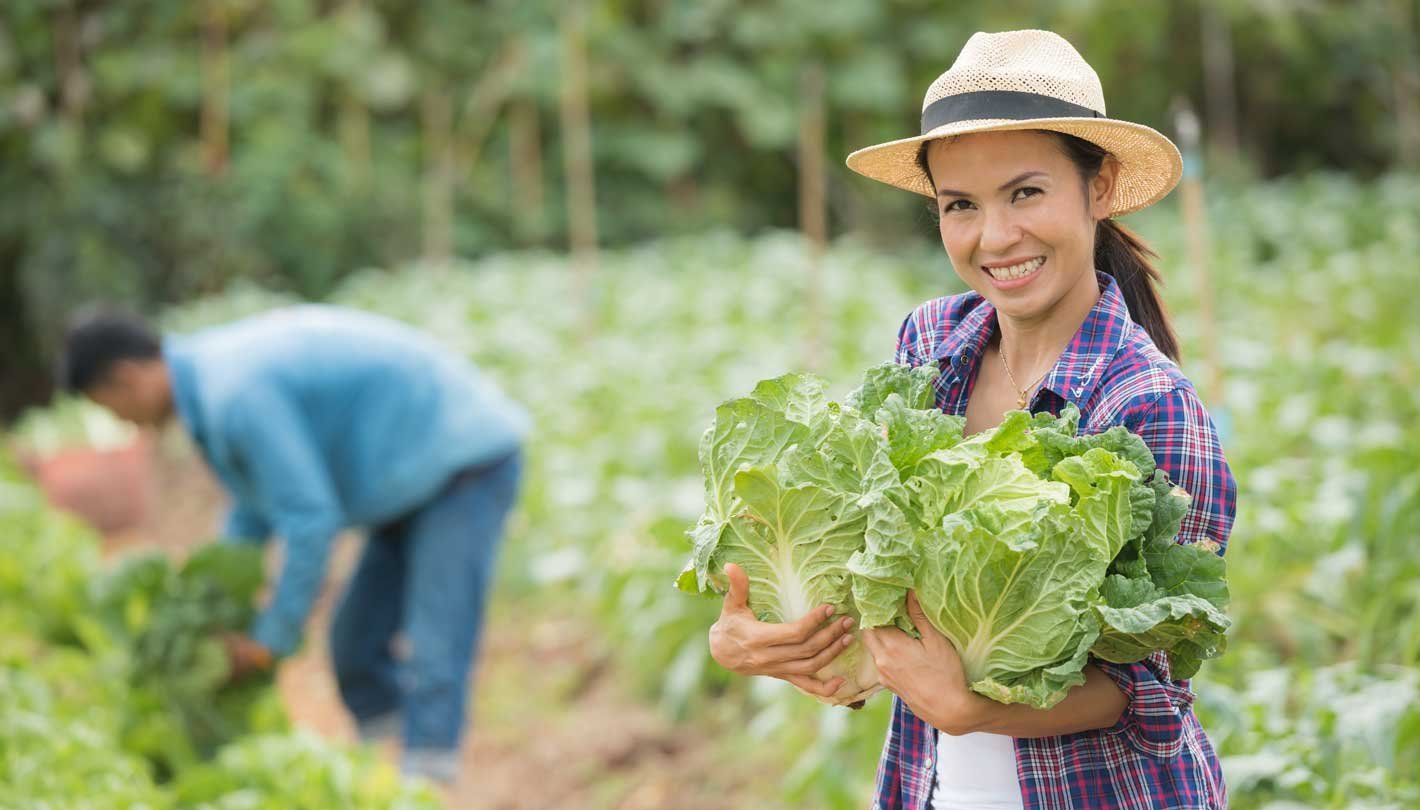 Aqua Garden Care - garden2