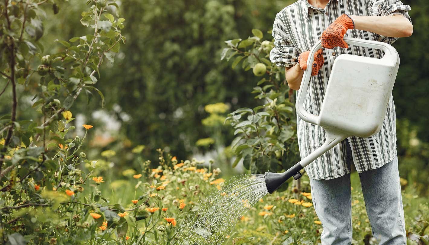 Aqua Garden Care - garden4