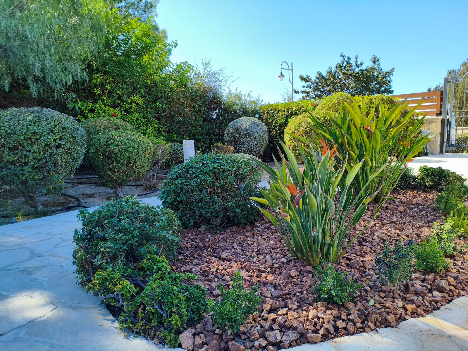 Aqua Garden Care - 8511fa62 29aa 4259 ab34 90b97410c93f 1 all 5279 scaled